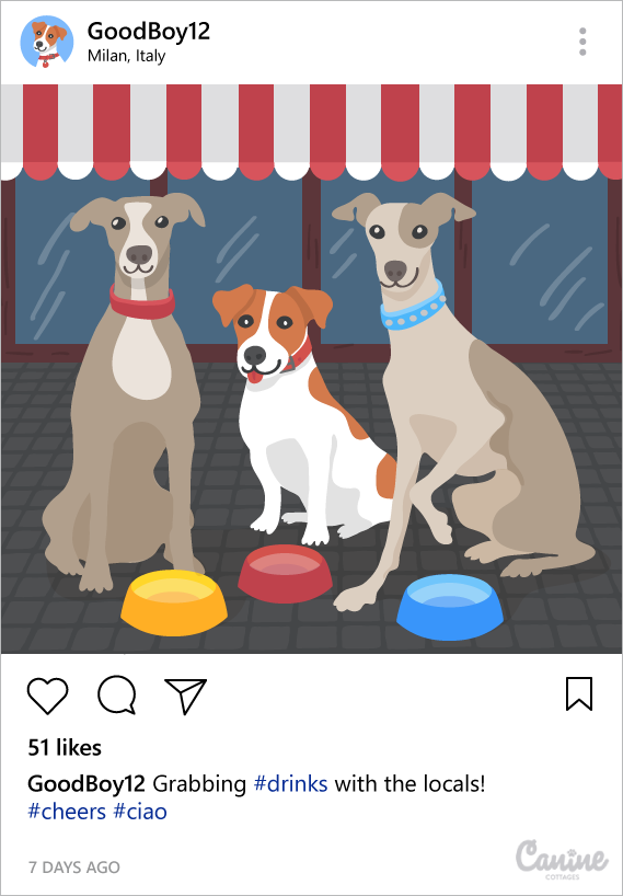 holidays pets dogs Italy instagram