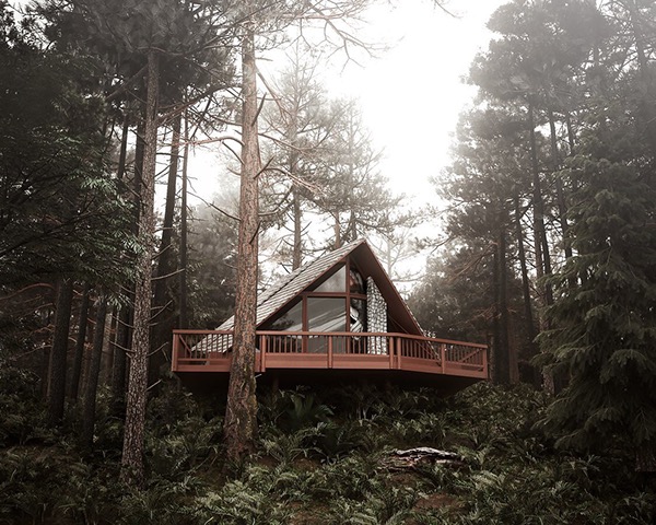 “Cabin in the Pacific Northwest”