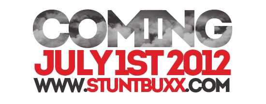stunt buxx    branding Web Design   interactive advertising