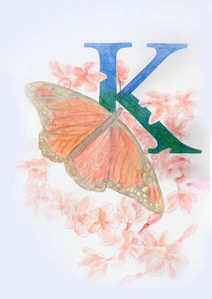 initials letters Calligraphy   Kaligrafija Flowers butterfly aquarelle Julia Doria ILLUSTRATION  typography  