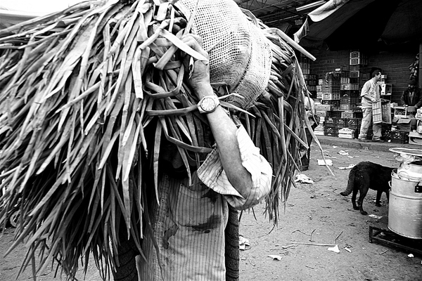colombia bogota Workers black White market central Corabastos