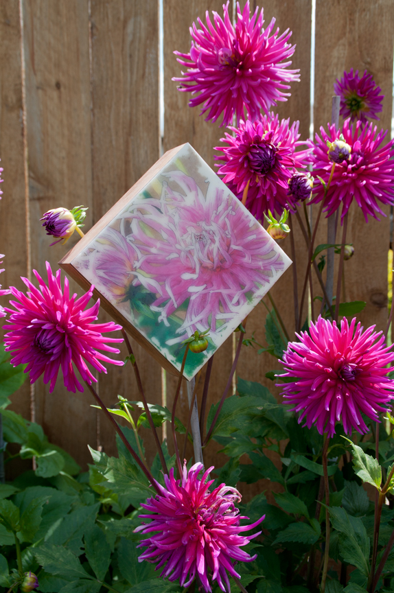 encaustic photo transfer beeswax woodblock photograph fine art experimental Flowers four color botanical