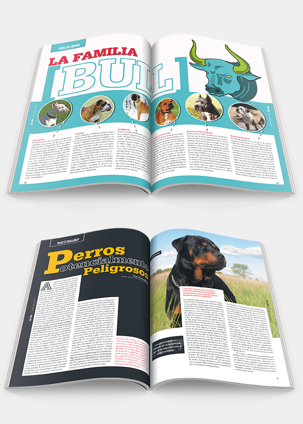 Dog Town Pitbull Rotweiller doberman magazine design editorial posters print