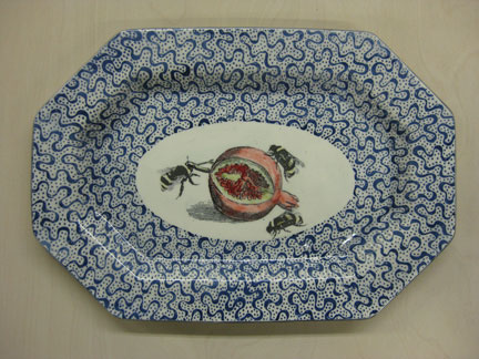 dishes tabletop Serving platters photo transfer ceramics  ceramic dinnerware ceramic plates ceramic bowls decorative ceramics natural history images handmade