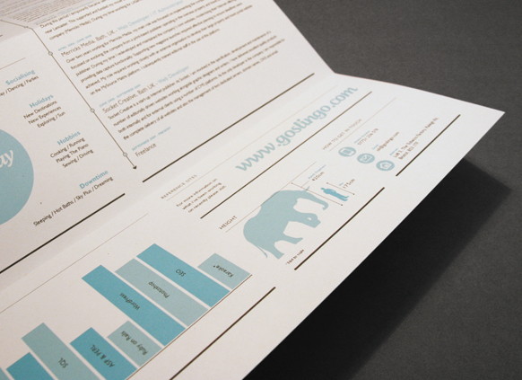 information design infographics clean identity logo info graphics Business Cards brand mailer CV