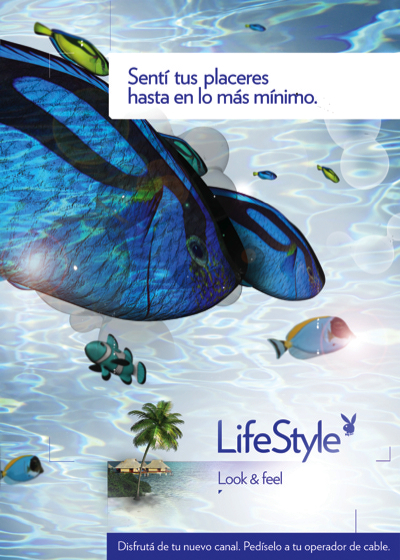 lifestyle tv brand package identidad Global canal