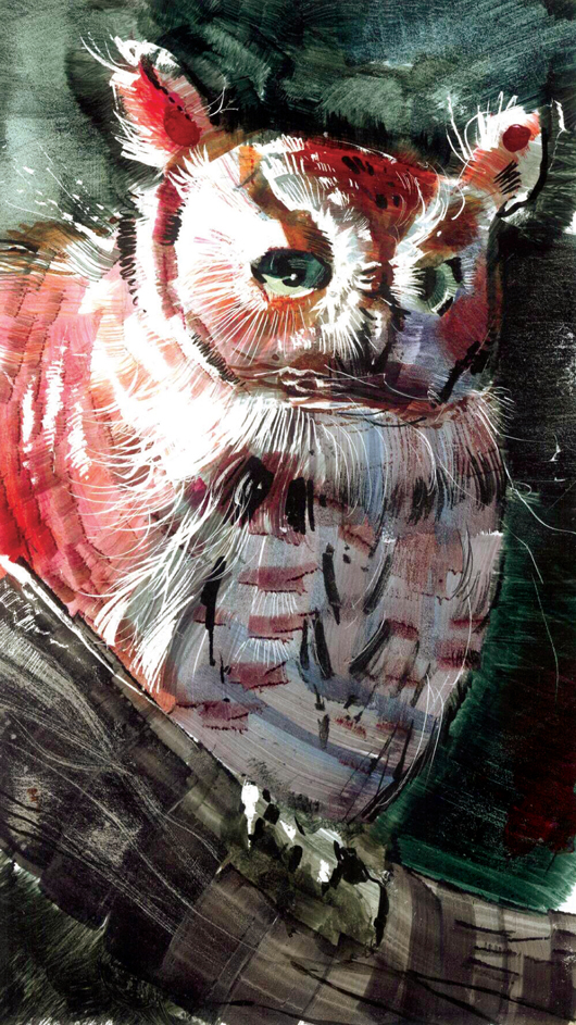 owls scratchboard bird