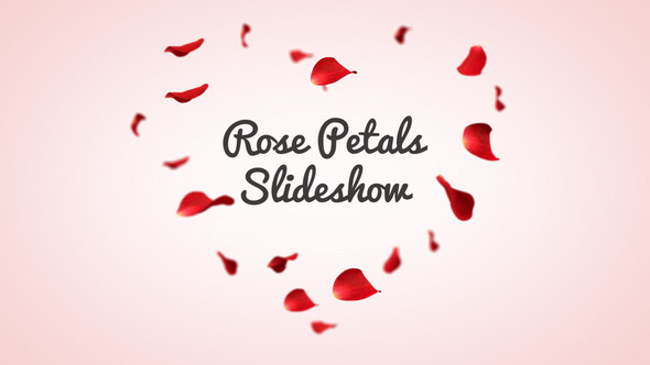 rose petal slideshow after effects template parallax videohive envato slideshow Valentine's Day Love wedding heart