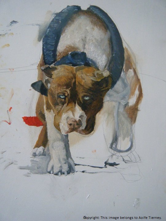 dog Dicrimination Paintings abstract Pit Bull