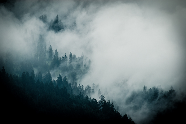 Nature Landscape germany forest mist fog mountain wild Tree  colour Garmich-Partenkirchen FINEART Bayern Bavaria