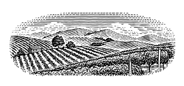 Label black and white wine Landscape engraving etching linocut scratchboard woodcut