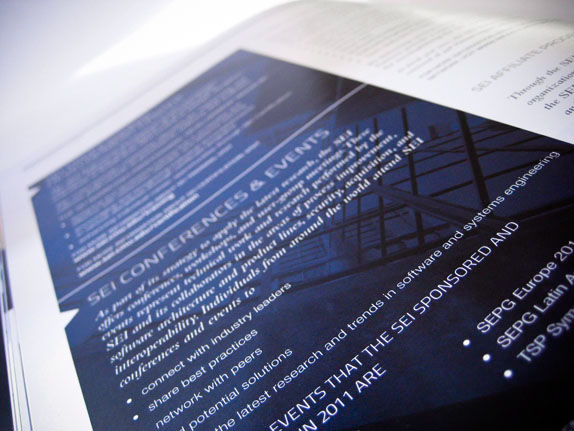 annual report Software Engineering infographics print