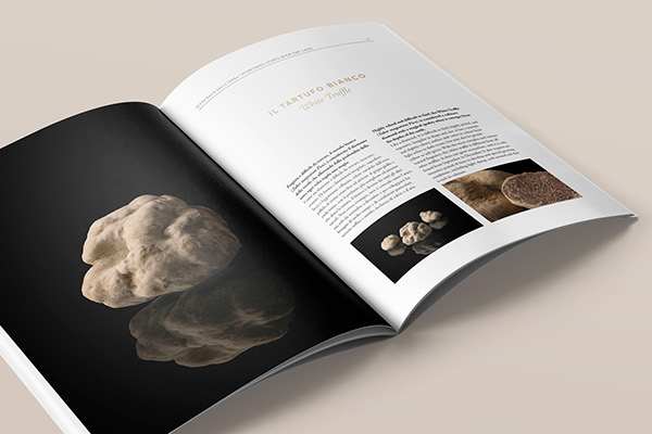 Concept e layout brochure Geofoods Italian Truffles