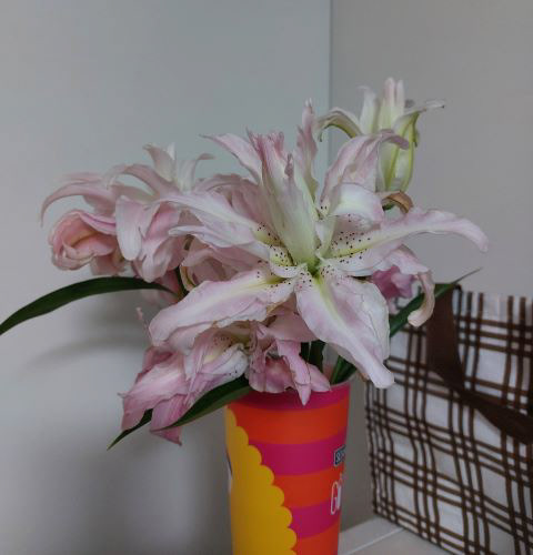 lilies in a vase