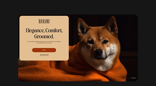 "Hanami" Branding / Brand Startegy and Interior Design