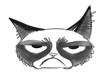 Animation - Grumpy Cat on Behance
