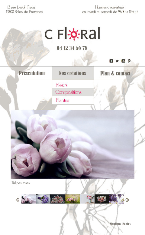 site web newsletter graphisme retouche photo ILLUSTRATION  Interface UI site internet
