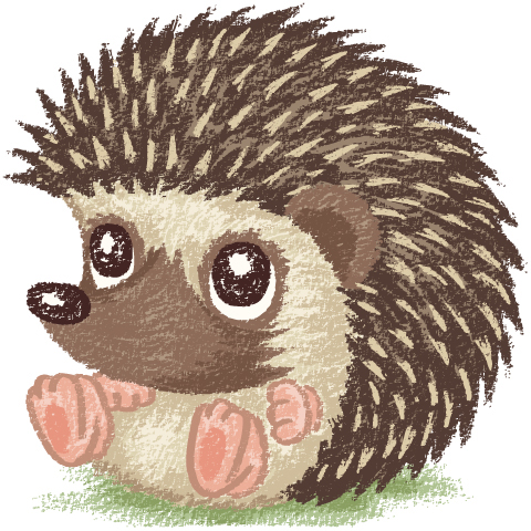 Hedgehog animal mouse pets Pampered Pets characters hand-drawn cute