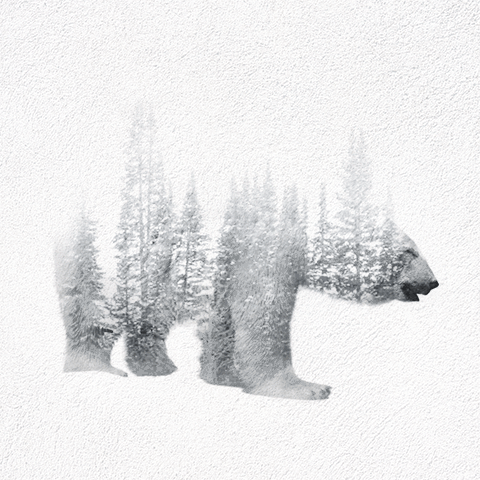 double exposure İmages Animated with cinemagraph double Exposure gif video pozlama turk animals wolf horse bear whales wild