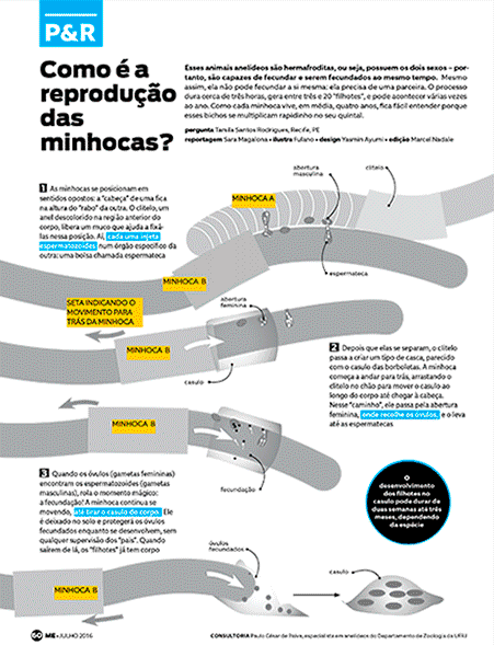 wacom photoshop digital painting Editora Abril infográficos Mundo Estranho infographic