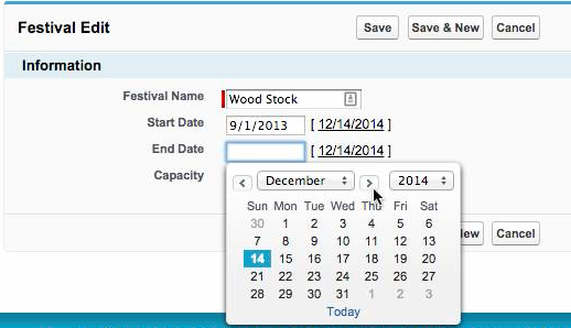 Salesforce festival bands Stage ticket attendee