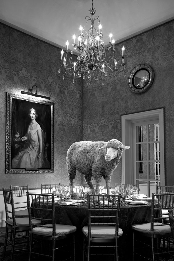 fine art  sheep lamb wool Fast food bedroom chandelier tv dinner elephants oven Carnival bathroom ballroom caravan laundry mat