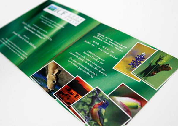 brochure  Photography  invitation  Collateral handbill Invitation Collateral nature photography ICF Rio Grande Valley wildlife texas Event pictures