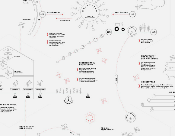 infographics Sustainable bees campaign sustainable communication non profit campaign information visualisation