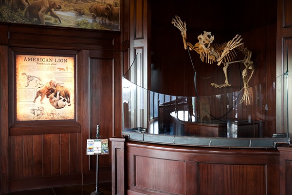 Natural History Museum Signage | Part I