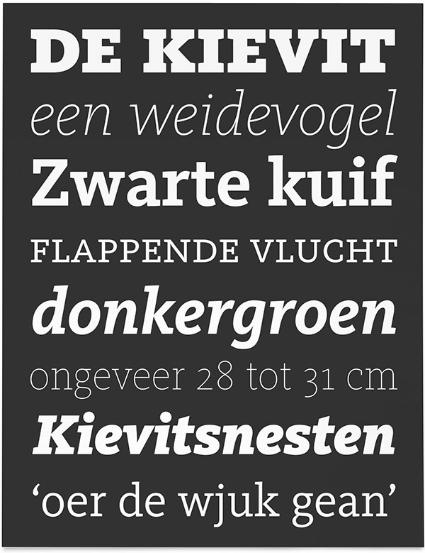 type design typedesign ff FontFont kievit slab Typeface font Mike Abbink van der Laan