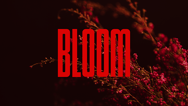 BLOOM | brand identity for flower design studio