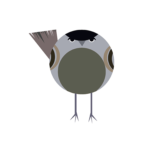 british common birds