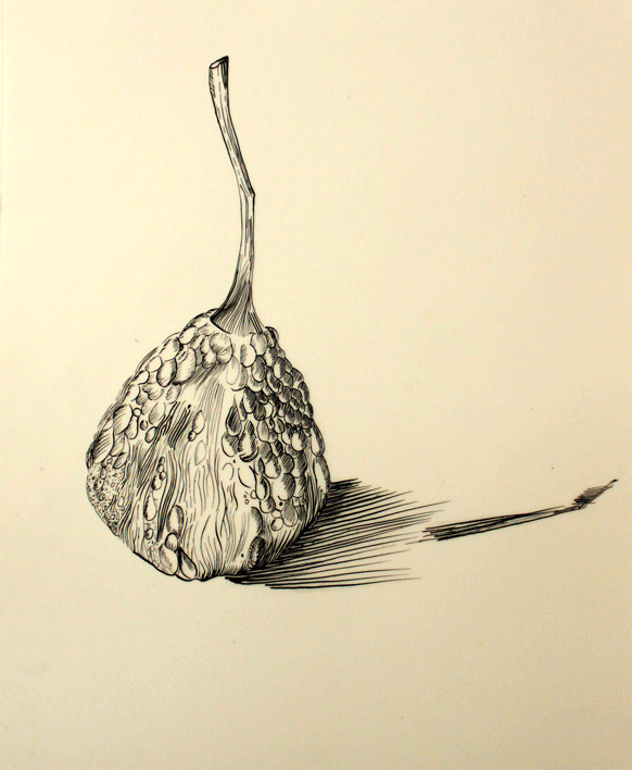 line drawing pen and ink