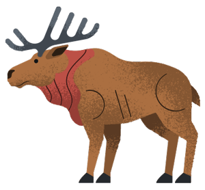 Illustrated moose vignette by Adrian Bauer 
