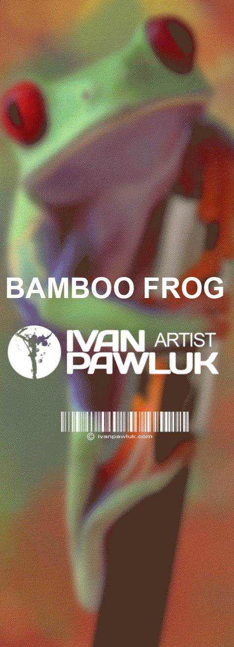 BAMBOO FROG  bamboo wacom Wacom bamboo create Pen and touch photoshop digital painting paint creative argentina rosario ivan pawluk artist