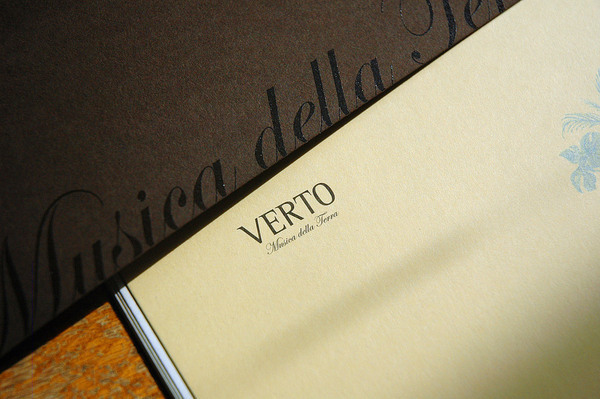 verto landshaft company logo Booklet Collateral print corporate Nature luxury design paper exclusive brown Classical modern neoclassic horizontal landshafts musica della terra music of earth