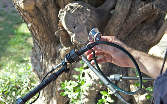 Diego Stocco diego Stocco sound design Sound Design designer Composer composition Music from a Tree music Tree experimental Røde NT6 Røde NTG-2 Modified stethoscope Custom Techniques