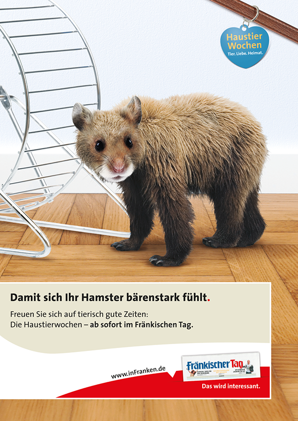 haustier teaser campaign Fränkischer Tag mgo pets domestic animals