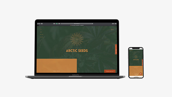 Arctic Seeds - Responsive Web Design - Logo Design