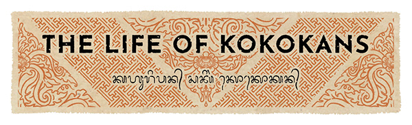 The Life of Kokokans
