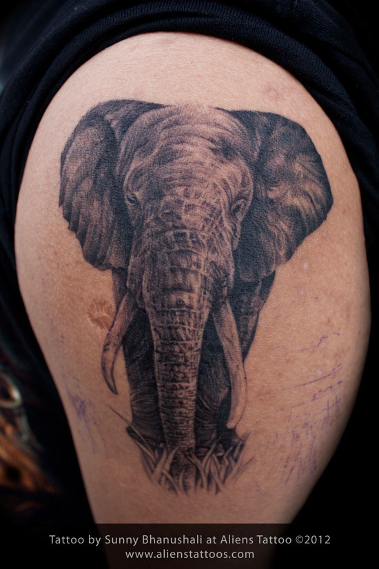 20+ Best Elephant Tattoo Ideas - HARUNMUDAK-tiepthilienket.edu.vn