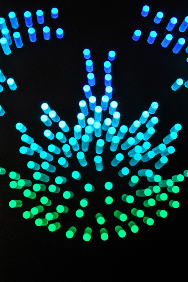 lightbox light box fiber optics poly-optic fibre diatom microscopic