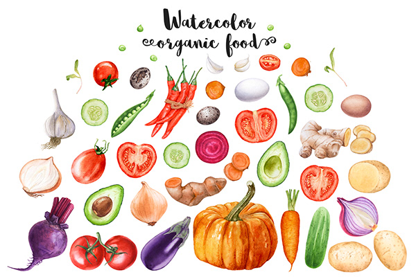 Watercolor organic food