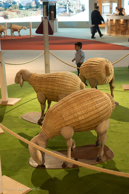 wicker  crafts art wood Exhibition 