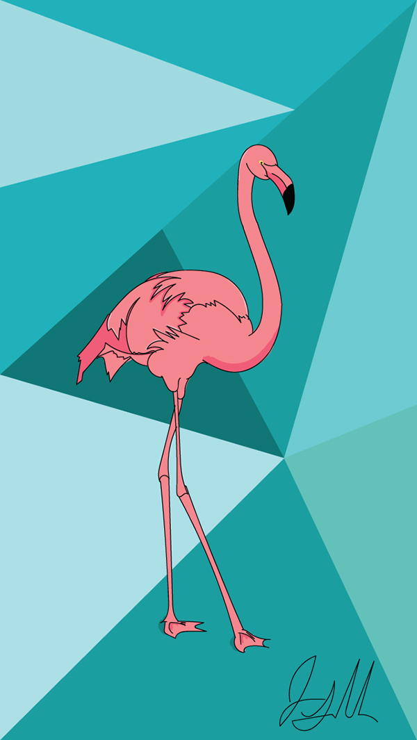 Flamingo Iphone Wallpaper