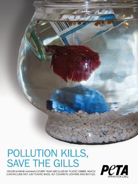 Peta adelphi university  fish   garbage Litter advertisement