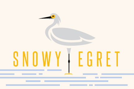 species cards science snowy egret cardinal aves barn owl mallard duck bald eagle north america species birds