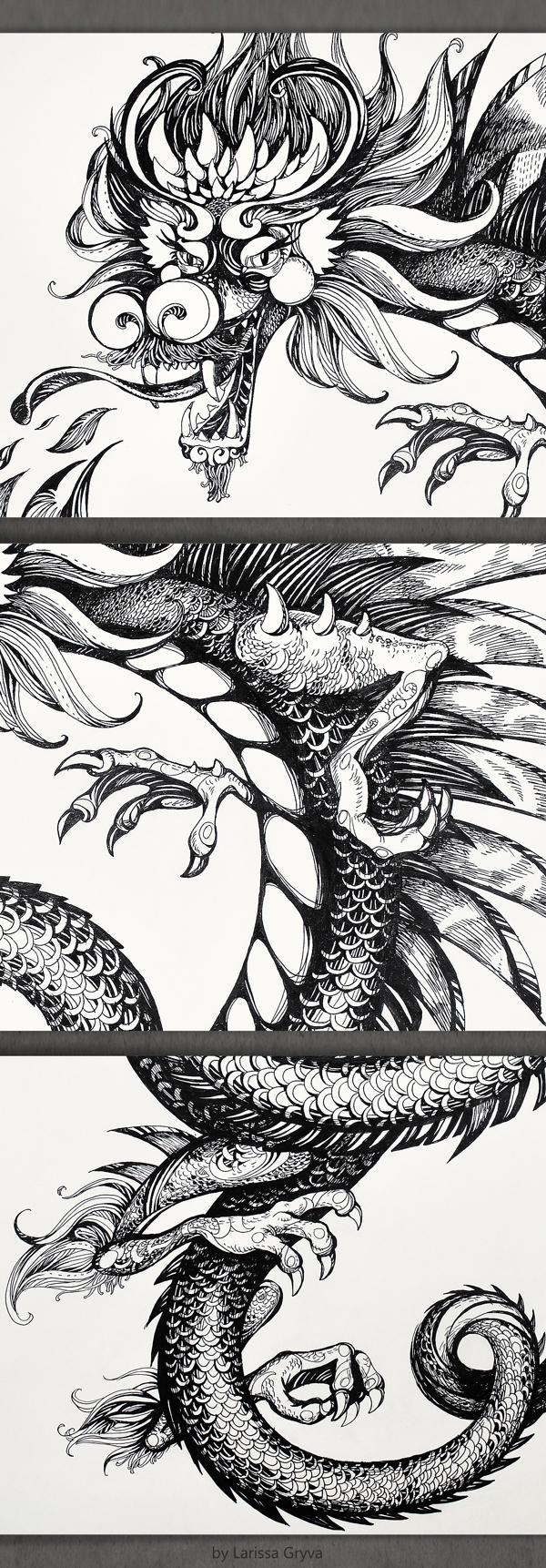dragon dragons illustrations paper line lines black White Black&white hand drawing design cup plate iphone ornamental decorative art skin black and white hand made chinese graphic arts graphics