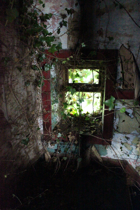 video art Ireland Abandoned Buildings Abandoned Houses private dwellings architectural photography urban exploration interiors rural long exposure colour photography Natural Light