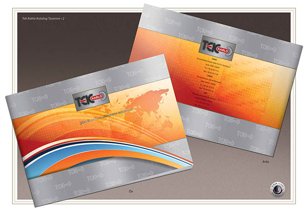 cartoon Corporate Identity presentation file File Design printed works book or Magazine Cover Banner-Ad-Brochure-Catalog Designs dtp (Desktop-Publishing)